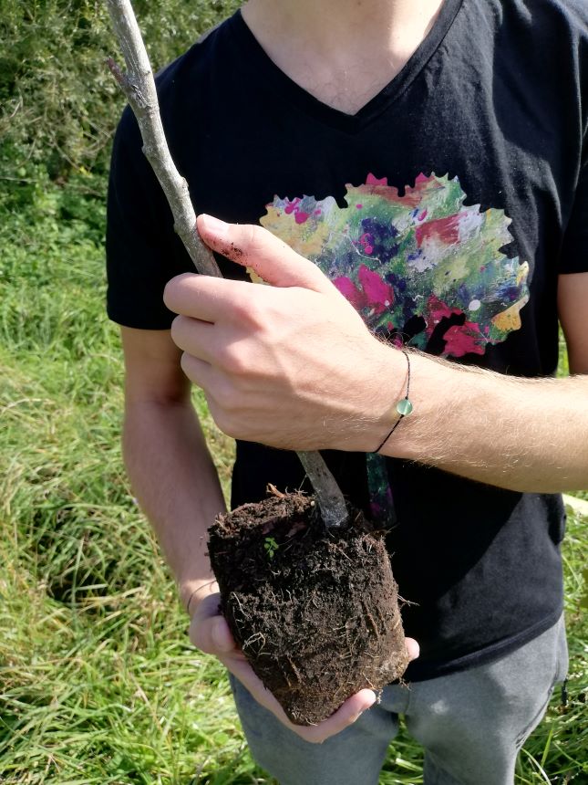 Earthkarma výsadby